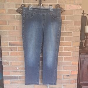 Gloria Vanderbilt AVERY All Over Slimming Effect Straight Stretch Jeans SZ. 16P